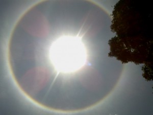 halo solar